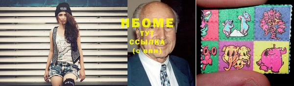 индика Алзамай