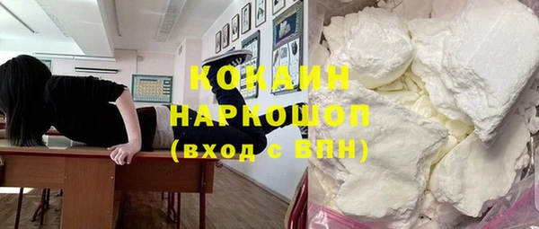 индика Алзамай